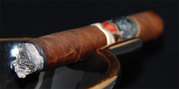 Padilla Dominus - 4
